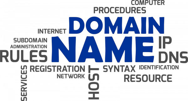 domain name_10024325